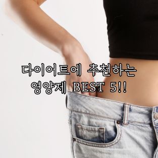 다이어트 추천 영양제