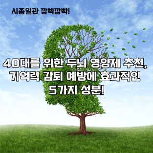 두뇌 영양제 추천