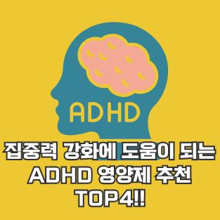 집중력 강화에 도움이 되는 ADHD 영양제 추천 TOP4!!